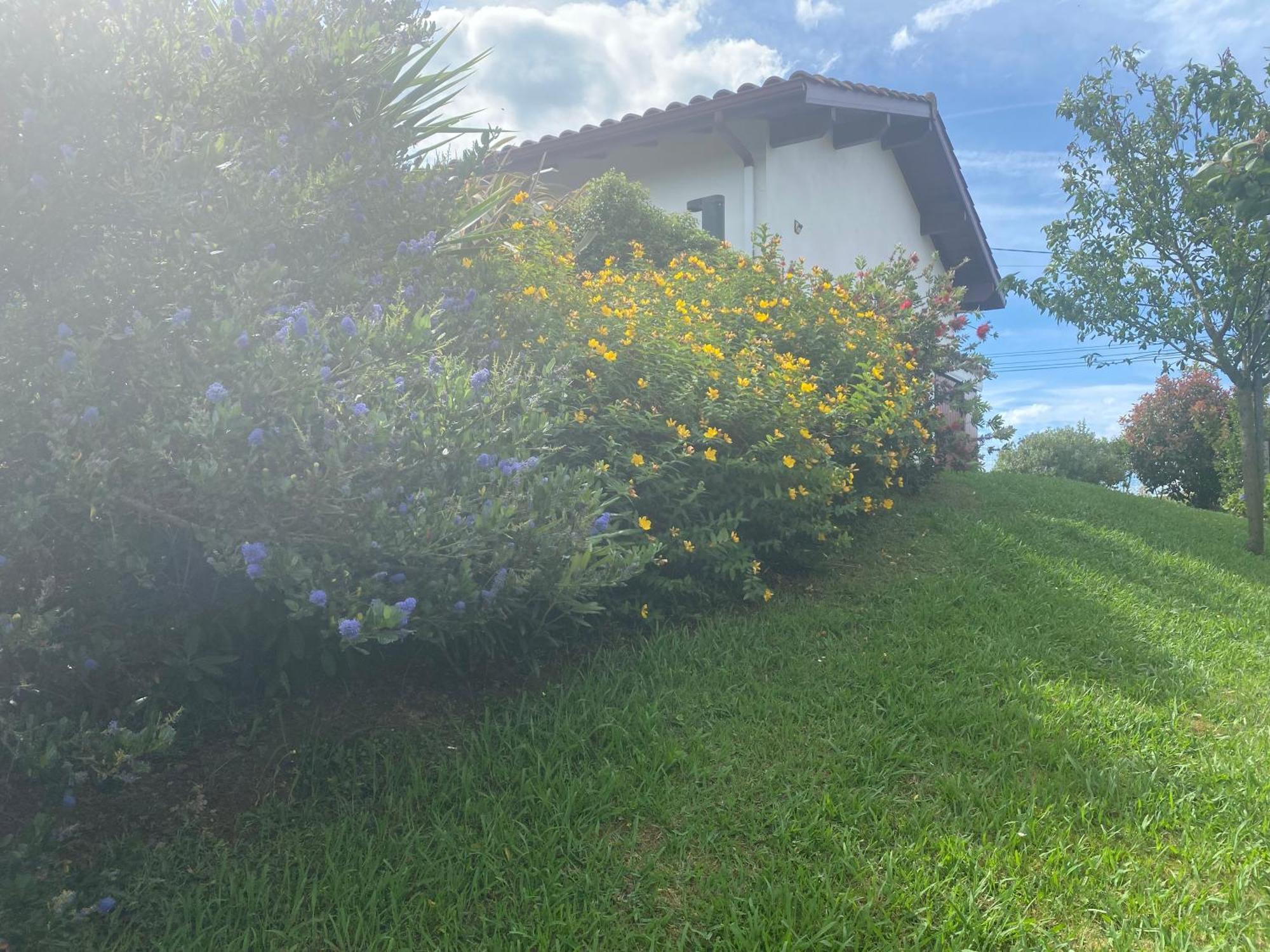 Ama Lur Casa de hóspedes